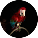 G.W de G. profielfoto